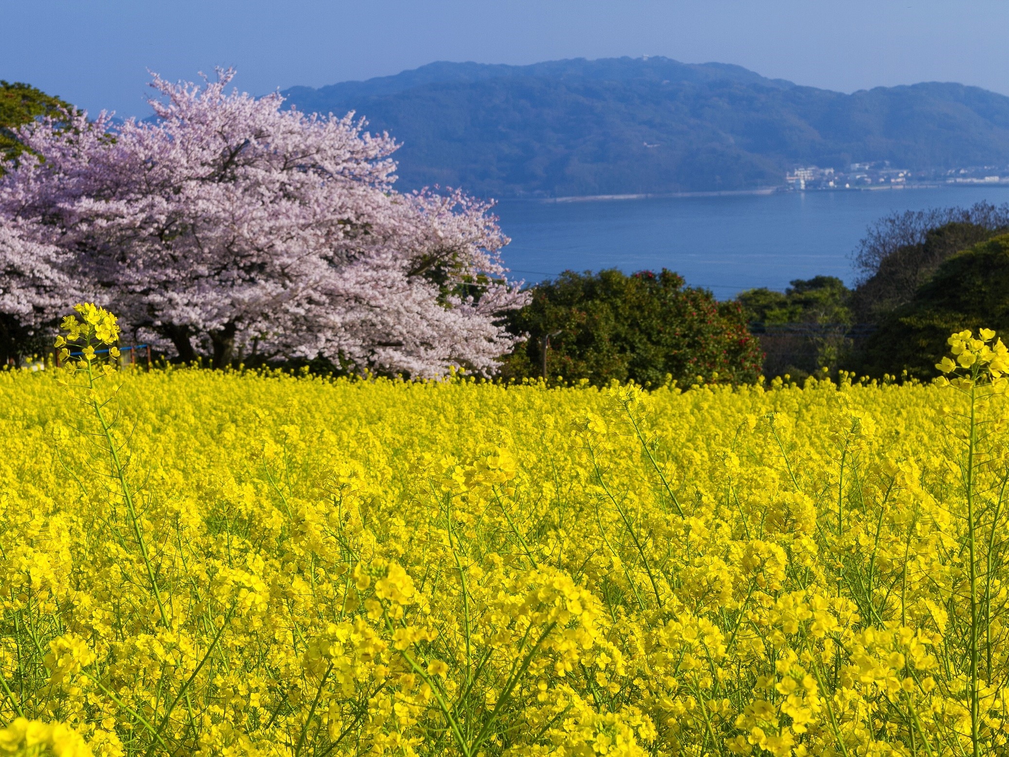 のこのしまアイランドパーク